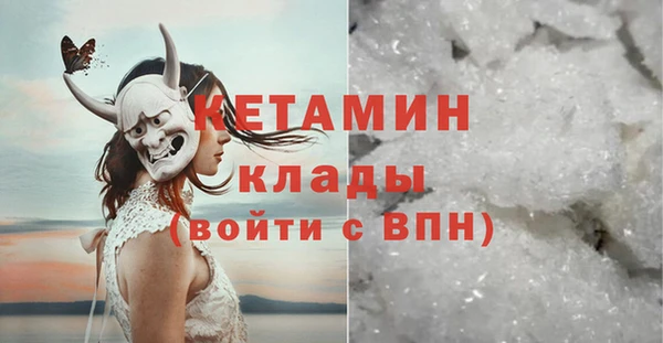 шишки Абаза