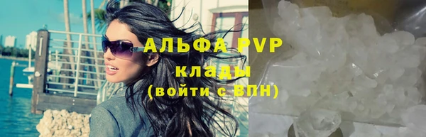 шишки Абаза