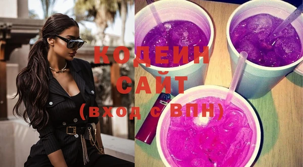 шишки Абаза
