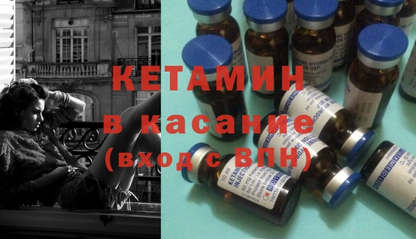 шишки Абаза