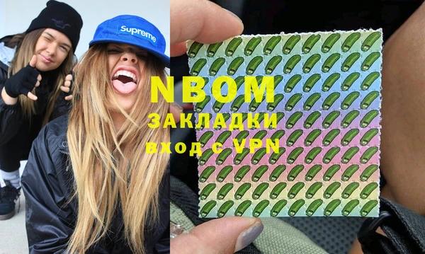 шишки Абаза