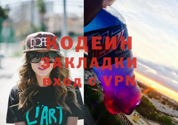шишки Абаза