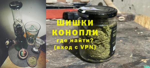 шишки Абаза