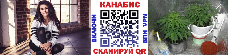 Канабис сатива  Яблоновский 